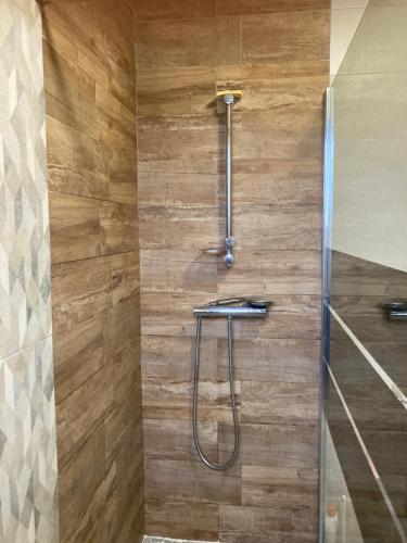 a shower in a bathroom with a wooden wall at Studio jangadi in Reignac