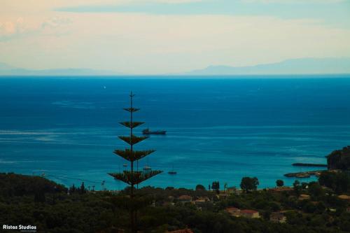 a tall tree in front of a large body of water at Elena Rista Studios in Parga