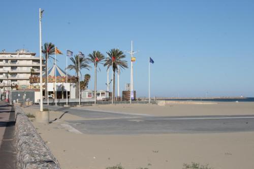 une plage vide avec des palmiers et un bâtiment dans l'établissement Charmant studio 20 m de la plage, à Canet