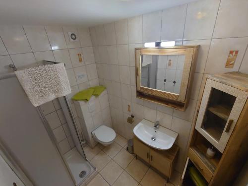 ein Badezimmer mit einem Waschbecken, einem WC und einem Spiegel in der Unterkunft Ferienwohnung am Erlermuhlenbach in Voigtsdorf