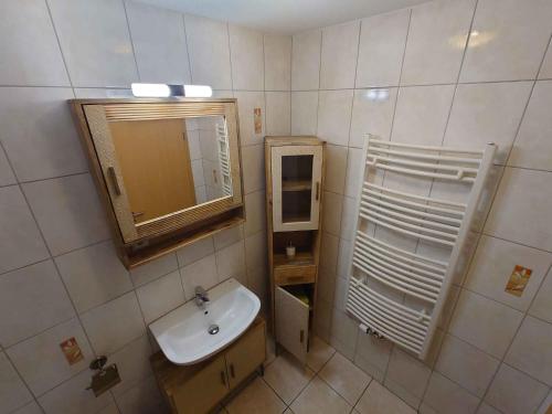 y baño con lavabo y espejo. en Apartment in Dorfchemnitz bei Sayda 3110, en Wolfsgrund