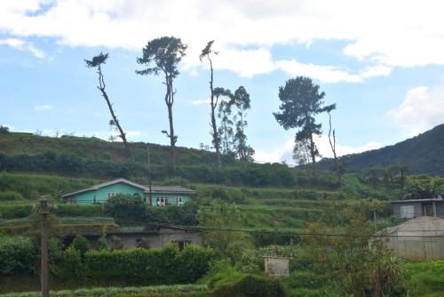 a village on a hill with palm trees at The Dew Drop Villa in Nuwara Eliya