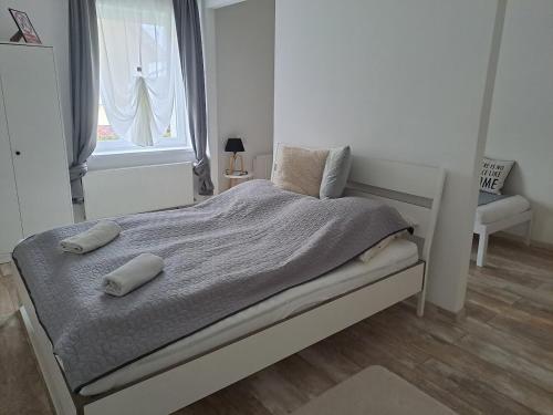 1 dormitorio con 2 almohadas en Villa Anna, ingyenes Wifivel és parkolással., en Zalaegerszeg