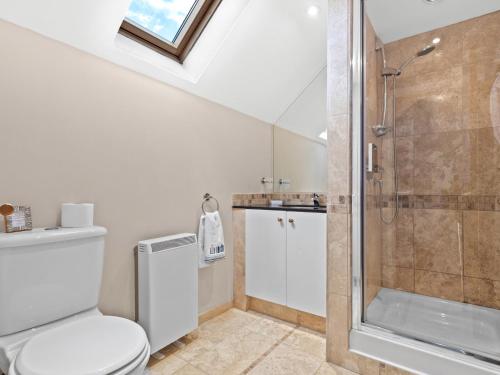 a bathroom with a toilet and a shower at Ash Tree Cottage in Bosherston