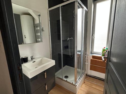 a bathroom with a glass shower and a sink at L'Escale des Weppes, appartement 40m2 in Haubourdin