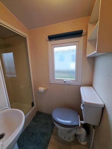 a bathroom with a toilet and a sink and a window at Cosy home with stunning views in Holsworthy