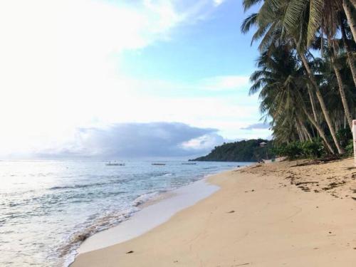 a beach with palm trees and the ocean at Precious Homestay (Deluxe Room) in Burgos