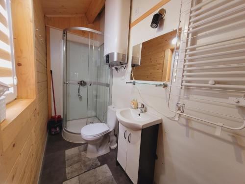 a bathroom with a toilet and a shower and a sink at Domki drewniane pod Karpaczem in Mysłakowice