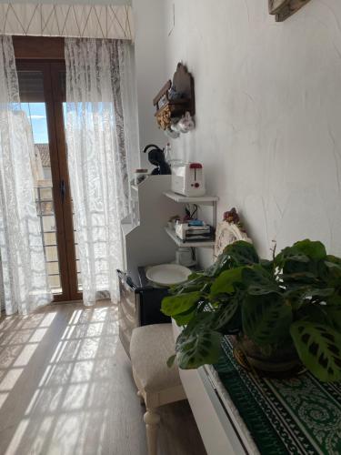 a living room with a potted plant and a window at Casa Rural Dolly Baby in Alarcón