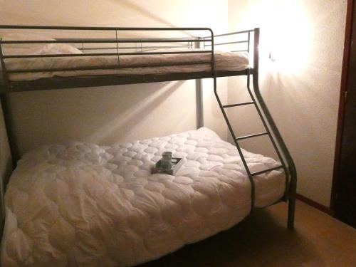 - un lit superposé avec un jouet sur la couchette inférieure dans l'établissement Appartement T2 pour 4 à 5 pers, Saint-Lary-Soulan, cuisine équipée, balcon sud, proche services et loisirs - FR-1-457-221, à Saint-Lary-Soulan