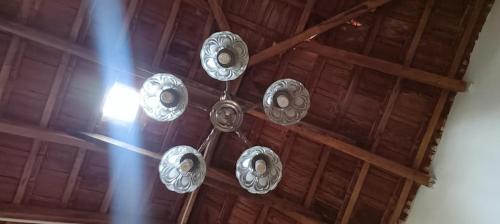 a bunch of silver lights hanging from a wooden ceiling at Raagabynature home stay in Gendehalli