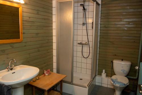 a bathroom with a sink and a shower and a toilet at Auberge de la Cholotte in Les Rouges-Eaux