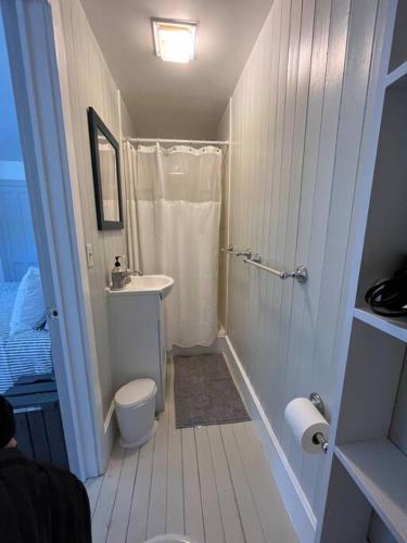 a bathroom with a shower and a toilet and a sink at Litchfield Modern Farmhouse in Litchfield