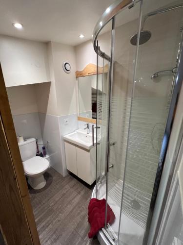 une salle de bain avec une douche, des toilettes et un lavabo dans l'établissement Val Thorens Appartement 8 personnes aux pieds des pistes, à Val Thorens