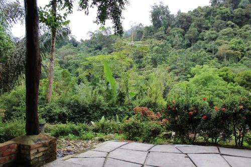 a view of a garden with flowers and trees at Mountain View Cottages & Villa Tangkahan in Tangkahan
