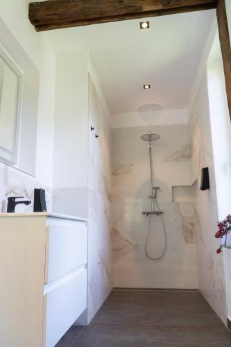 a bathroom with a walk in shower and a sink at Chalet Schmelz Huette mit Sauna und Garten in Flattach