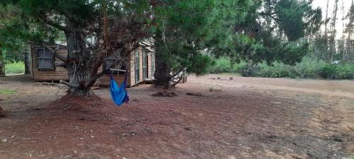 un paraguas azul colgando de un árbol delante de una casa en CABAÑA N º 3, en Yeco