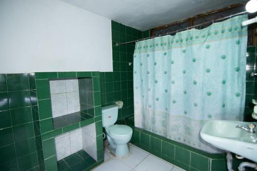 a green bathroom with a toilet and a sink at Itapoa Reserve in Puerto Quito