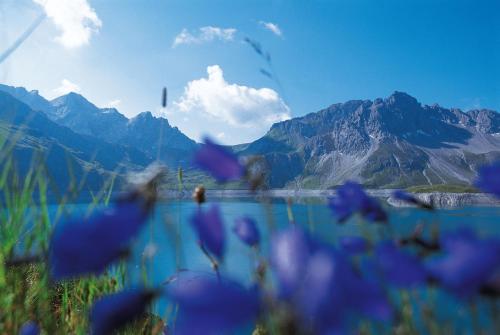 a bunch of purple flowers in front of a mountain at Haus Edelweiss in Brand