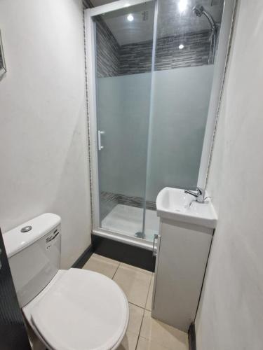 a bathroom with a shower and a toilet and a sink at Adoniapro Clacton Lodge in Great Clacton
