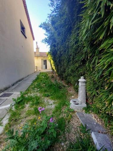 Bambous & Cottage – Photos 2