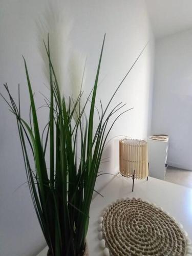 Bambous & Cottage – Photos 4