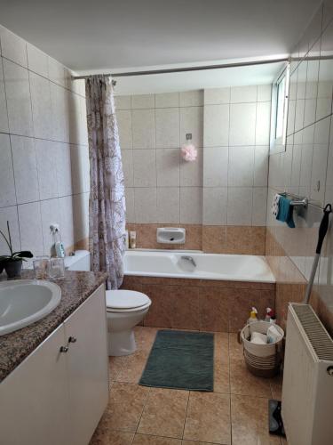 a bathroom with a tub and a toilet and a sink at Beautiful bedroom in Limassol