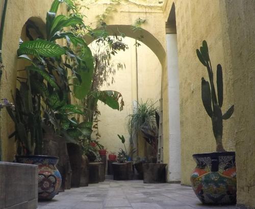 Zahrada ubytování Hospedaje La Mexicana