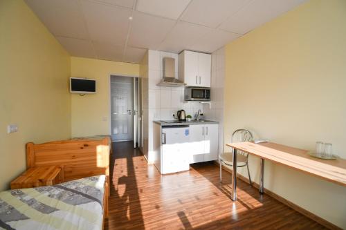 a small room with a kitchen and a table at Hostel Nele in Jõhvi