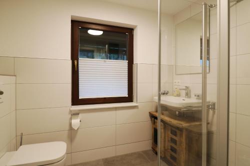 uma casa de banho com um WC, um lavatório e uma janela em Tannenhof Fischbach - Fewo 3 "Bachforelle" - Schluchsee, 1 Schlafzimmer em Schluchsee