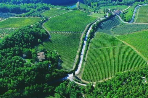 an aerial view of a vineyard with a river in the middle at Fattoria Poggerino in Radda in Chianti