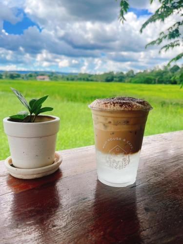 a cup of coffee and a potted plant on a table at Muji House Resort in Non Sang