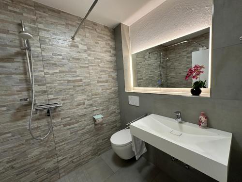 a bathroom with a toilet and a sink and a shower at Gocher Berghof Ferienwohnungen Langanke in Goch