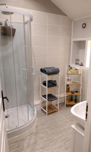 y baño con ducha y lavamanos. en Le Vieux Logis, en Montreuil-Bellay