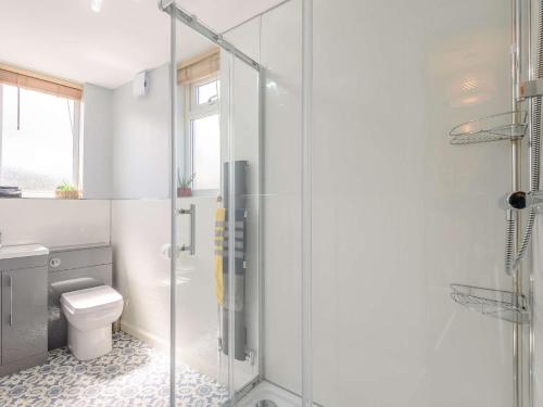 a bathroom with a toilet and a glass shower at 2 bed in Llanrwst 83295 in Llanrwst