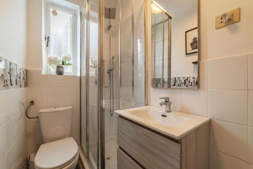 a bathroom with a toilet and a sink and a shower at Piazza Navona Penthouse in Rome