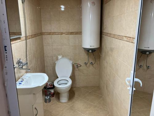 Baño pequeño con aseo y lavamanos en Къща за гости Теяна, en Tryavna