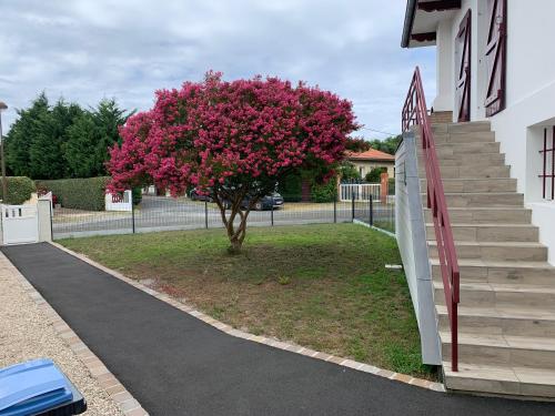 a tree with pink flowers next to a building at Résidence « les Gets » Location T4 Vieux-Boucau-Les-Bains in Vieux-Boucau-les-Bains