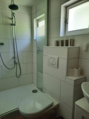 uma casa de banho com um chuveiro, um WC e um lavatório. em La Crappa em Andeer