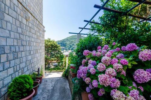 ein Strauß Blumen in Töpfen an einer Wand in der Unterkunft Apartment Pavo in Dubrovnik