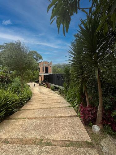 a walkway leading to a building with a palm tree at Casa Container 80 in Campos do Jordão