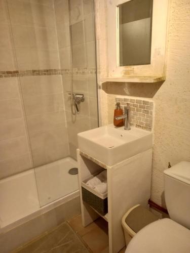 a bathroom with a sink and a toilet and a shower at Maisonnette indépendante au bord du loir 