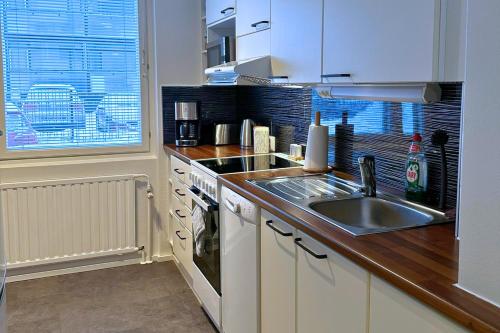 - une cuisine avec un évier et un comptoir dans l'établissement City Apartment Haapaniemenkatu, à Kuopio