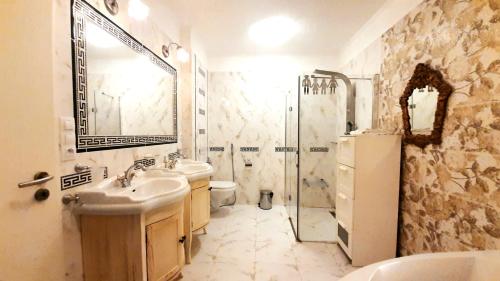 W łazience znajduje się toaleta z umywalką i prysznic. w obiekcie Studio with Terrace Near Prague Airport 