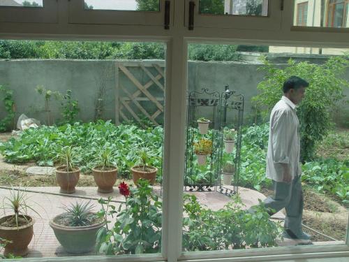 a man walking in a garden looking out of a window at The GoodFind Residency in Srinagar