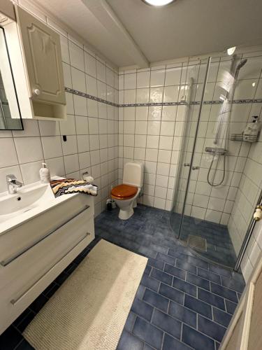 a bathroom with a toilet and a sink and a shower at Hyggelig leilighet i sentrum in Hemsedal