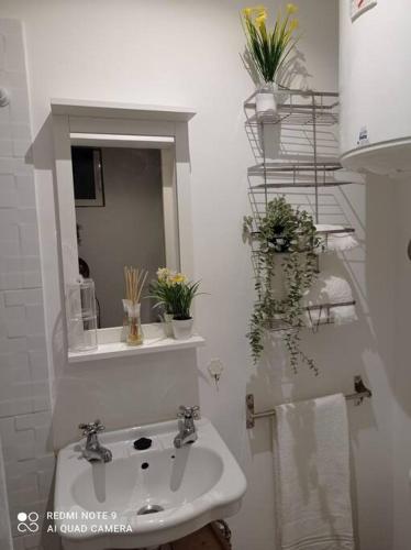 Apartamento Estrelinha