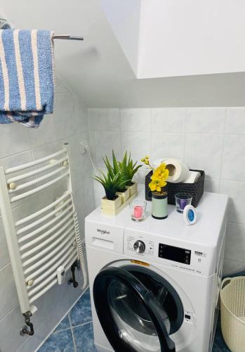 a washing machine in a bathroom with flowers and plants at Apartmán Voletínská 255 in Trutnov