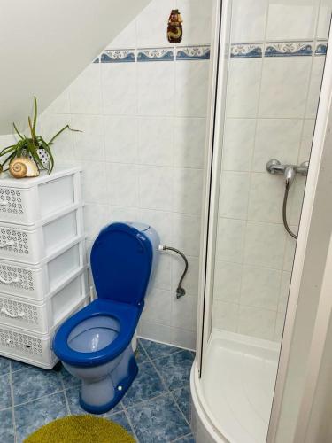 - niebieską toaletę w łazience z prysznicem w obiekcie Apartmán Trutnov-Poříčí w Trutnovie