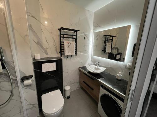 une salle de bain avec toilettes, lavabo et miroir dans l'établissement Studio confortable avec balcon, parking et WiFi à Brides-les-Bains - FR-1-512-149, à Brides-les-Bains